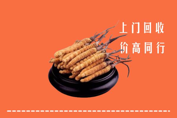 高价求购：双鸭山回收散虫草