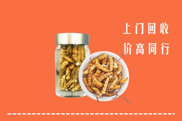 双鸭山回收冬虫夏草